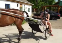 Никола Йокич не е яздил