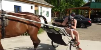 Никола Йокич не е яздил