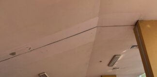 Левски започна подготовка за новия сезон в НБЛ