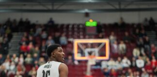 Черно море Тича с нов чужденец (видео)