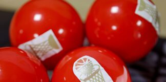 Ясни са двойките за квалификациите в турнира за Купа България 2026