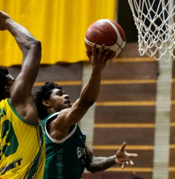 Берое мина кота 100 в Шумен